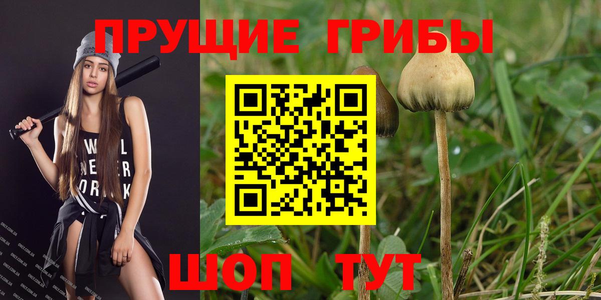 Урюпинск  Псилоцибиновые грибы ЛСД  Вход с VPN  Галлюциногенные грибы Magic Shrooms 
