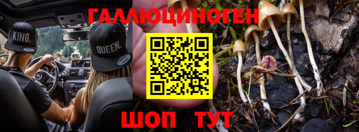 Псилоцибиновые грибы ЛСД Урюпинск